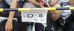 D5(29)